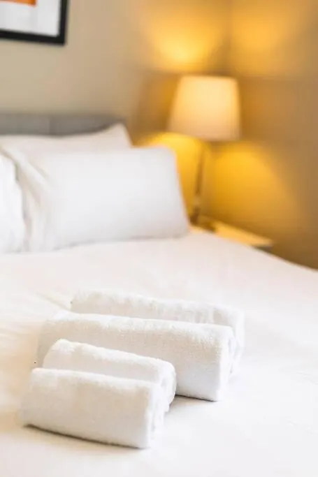 Apartment The Matisse- 10 Min Walk To City / Trendy 1 Bd Apt Belfast